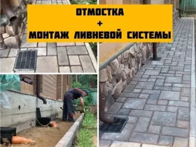 9561768110